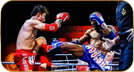 muaythai - uok168-plus.com